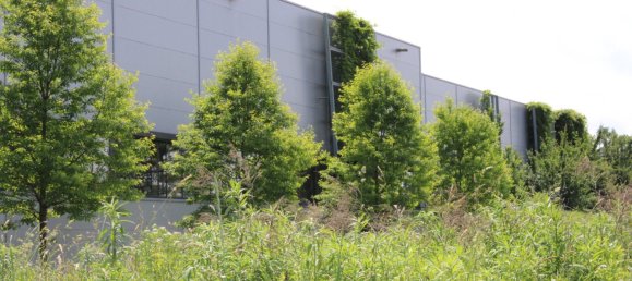 Land in Liebenau, Austria No. 131655 2