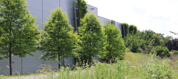 Land in Liebenau, Austria No. 131655 7