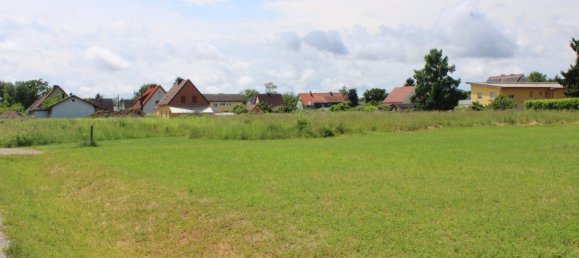 Land in Liebenau, Austria No. 131655 5