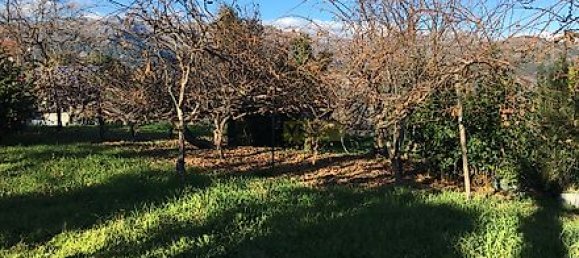 5 bedrooms House in Vieira do Minho, Portugal No. 41521 8