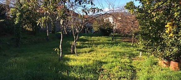 5 bedrooms House in Vieira do Minho, Portugal No. 41521 7