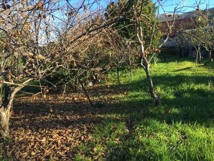 5 bedrooms House in Vieira do Minho, Portugal No. 41521