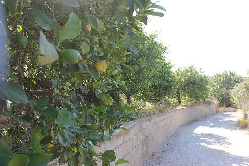 Terrain à Granada, Spain 5000m² No. 219998