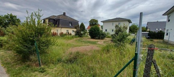 581m² Land in Ganserndorf, Austria No. 91891 3