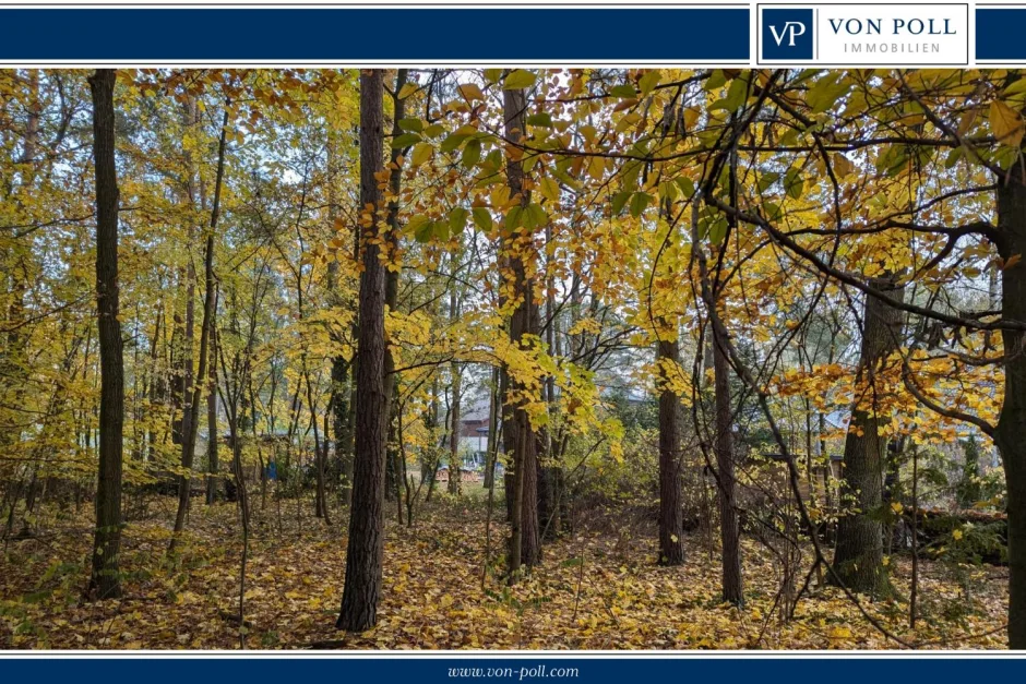  Land in Oberhavel, Germany No. 95564