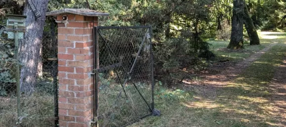  Land in Oberhavel, Germany No. 95564 12