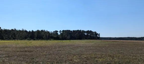  Land in Oberhavel, Germany No. 95564 13