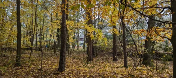  Land in Oberhavel, Germany No. 95564 2