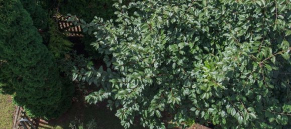 Moradia em banda T3 em Furth, Germany N.º 353154 20