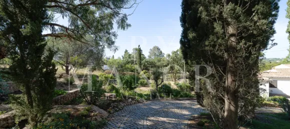 3 غرف نوم فيلا في Lagoa, Portugal رقم 125401 7