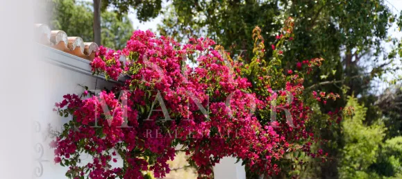 3 غرف نوم فيلا في Lagoa, Portugal رقم 125401 41