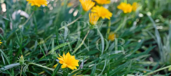 3 غرف نوم فيلا في Lagoa, Portugal رقم 125401 9