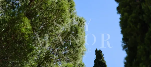 3 غرف نوم فيلا في Lagoa, Portugal رقم 125401 10