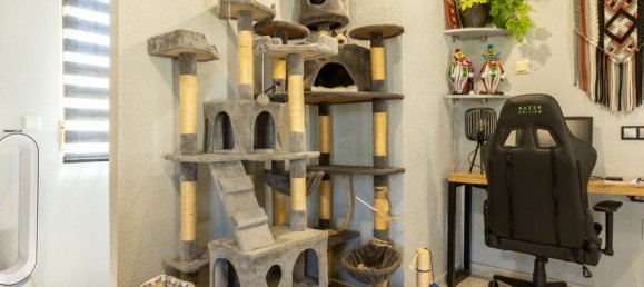 5 bedrooms Villa in Benijofar, Spain No. 176557 17