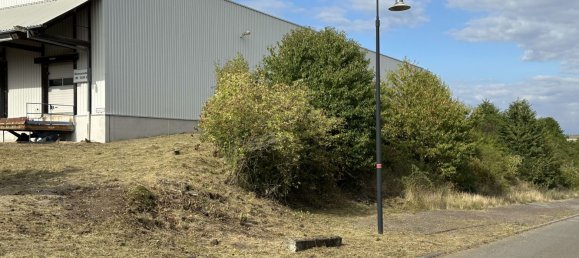 Lagerhaus in Rhein-Hunsrück, Germany 5000m², Nr. 266300 13