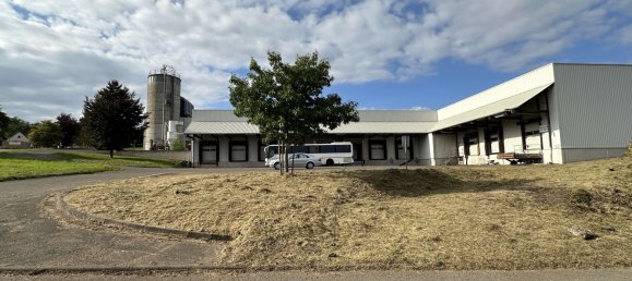 Lagerhaus in Rhein-Hunsrück, Germany 5000m², Nr. 266300 12