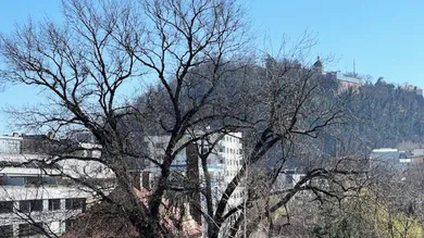 3 rooms Duplex in Geidorf, Austria No. 186229