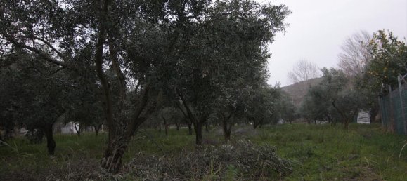 Hotel en Chalkidiki, Greece 4560 m² No. 7397 4