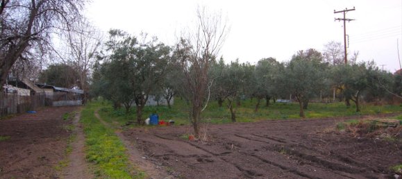 Hotel en Chalkidiki, Greece 4560 m² No. 7397 3