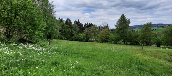3 chambres Maison à Freyung-Grafenau, Germany No. 172670 8