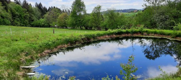3 chambres Maison à Freyung-Grafenau, Germany No. 172670 9