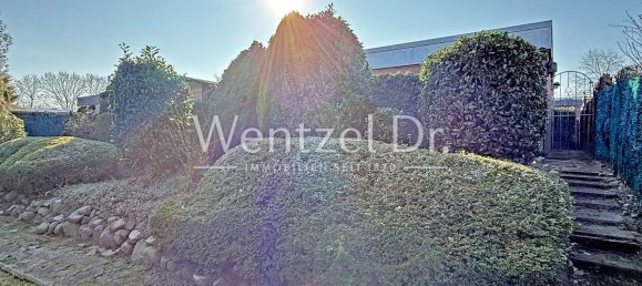 Бунгало с 4 комнатами в Бергедорф, Германия № 80524 11