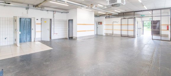 800m² Commercial property in Pols-Oberkurzheim, Austria No. 59751 14