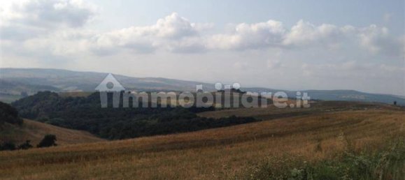 42340m² Land in Tuscania, Italy No. 302353 4