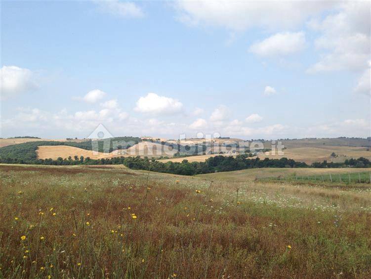 42340m² Land in Tuscania, Italy No. 302353