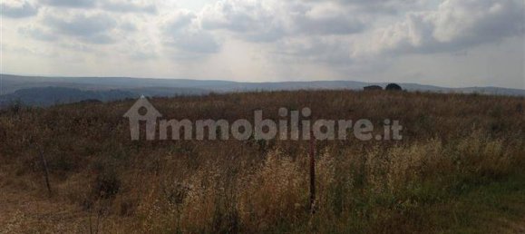 42340m² Land in Tuscania, Italy No. 302353 6