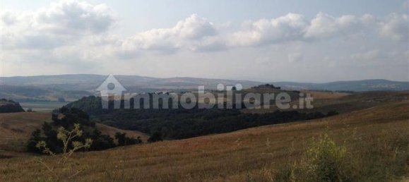 42340m² Land in Tuscania, Italy No. 302353 3