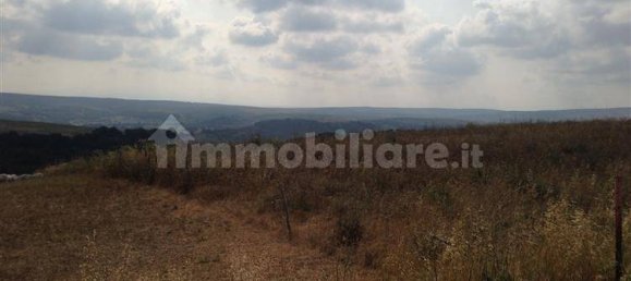 42340m² Land in Tuscania, Italy No. 302353 5
