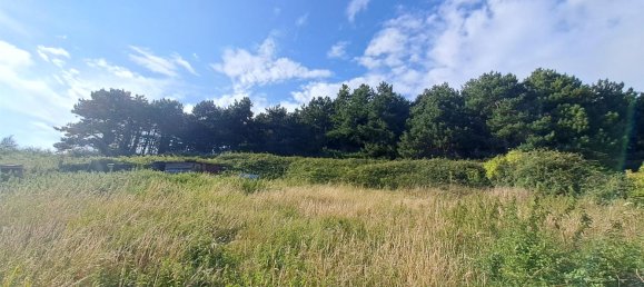 3 غرف نوم قطعة أرض في Seine-Maritime, France رقم 307006 2