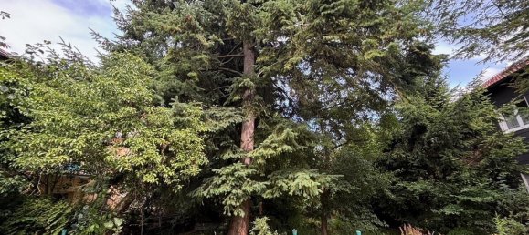 Terreno em Stuttgart, Germany 298 m² N.º 371348 4