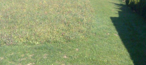 Terreno en Rosegg, Austria 1451 m² No. 253390 2