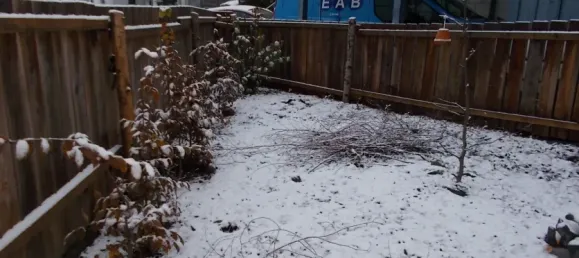  Land in Vogelsbergkreis, Germany No. 62029 6