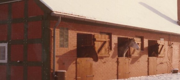 6 rooms Farm in Nienburg, Germany No. 340816 12