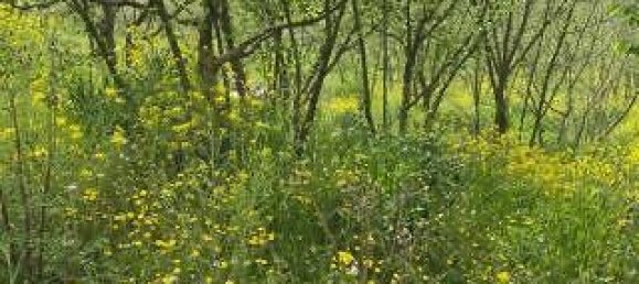 2700m² Land in Monteforte Irpino, Italy No. 304688 2