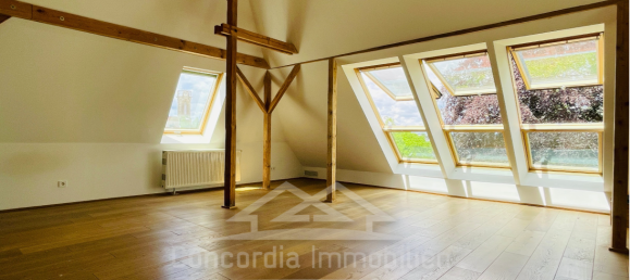 8غرفة فيلا في Dresden, Germany رقم 334286 7