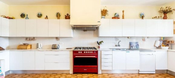 7 bedrooms House in Barao de Sao Miguel, Portugal No. 139563 14