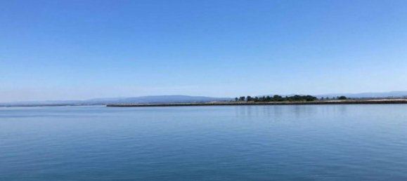 Grundstück in Sao Jacinto, Portugal, Nr. 307183 8