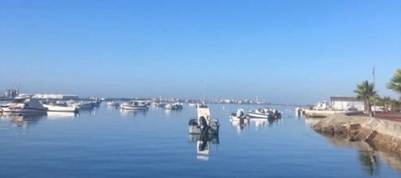 Grundstück in Sao Jacinto, Portugal, Nr. 307183 15