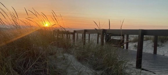 Grundstück in Sao Jacinto, Portugal, Nr. 307183 14