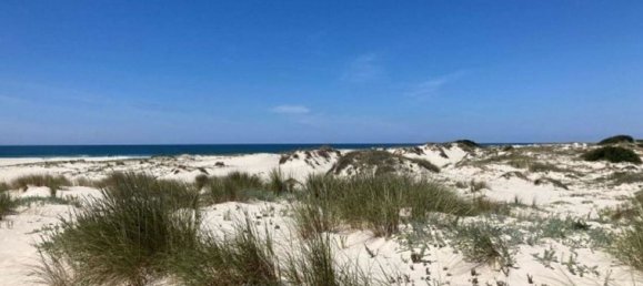 Grundstück in Sao Jacinto, Portugal, Nr. 307183 3