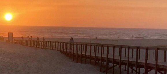 Grundstück in Sao Jacinto, Portugal, Nr. 307183 13