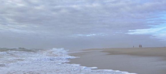 Grundstück in Sao Jacinto, Portugal, Nr. 307183 12