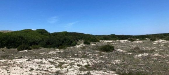 Grundstück in Sao Jacinto, Portugal, Nr. 307183 10