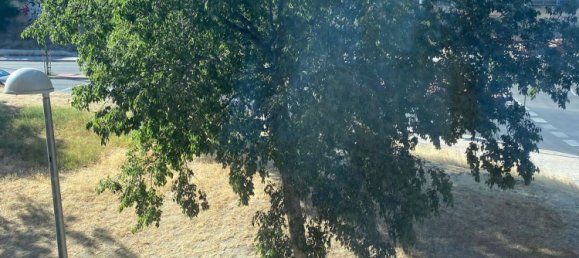 1 bedroom Apartment in Madrid, Spain No. 184302 34