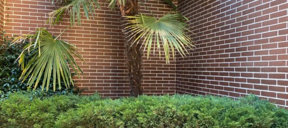 1 bedroom Apartment in Madrid, Spain No. 184302 29