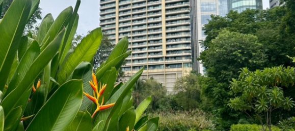 2 bedrooms Condo in Bangkok, Thailand No. 19303 19